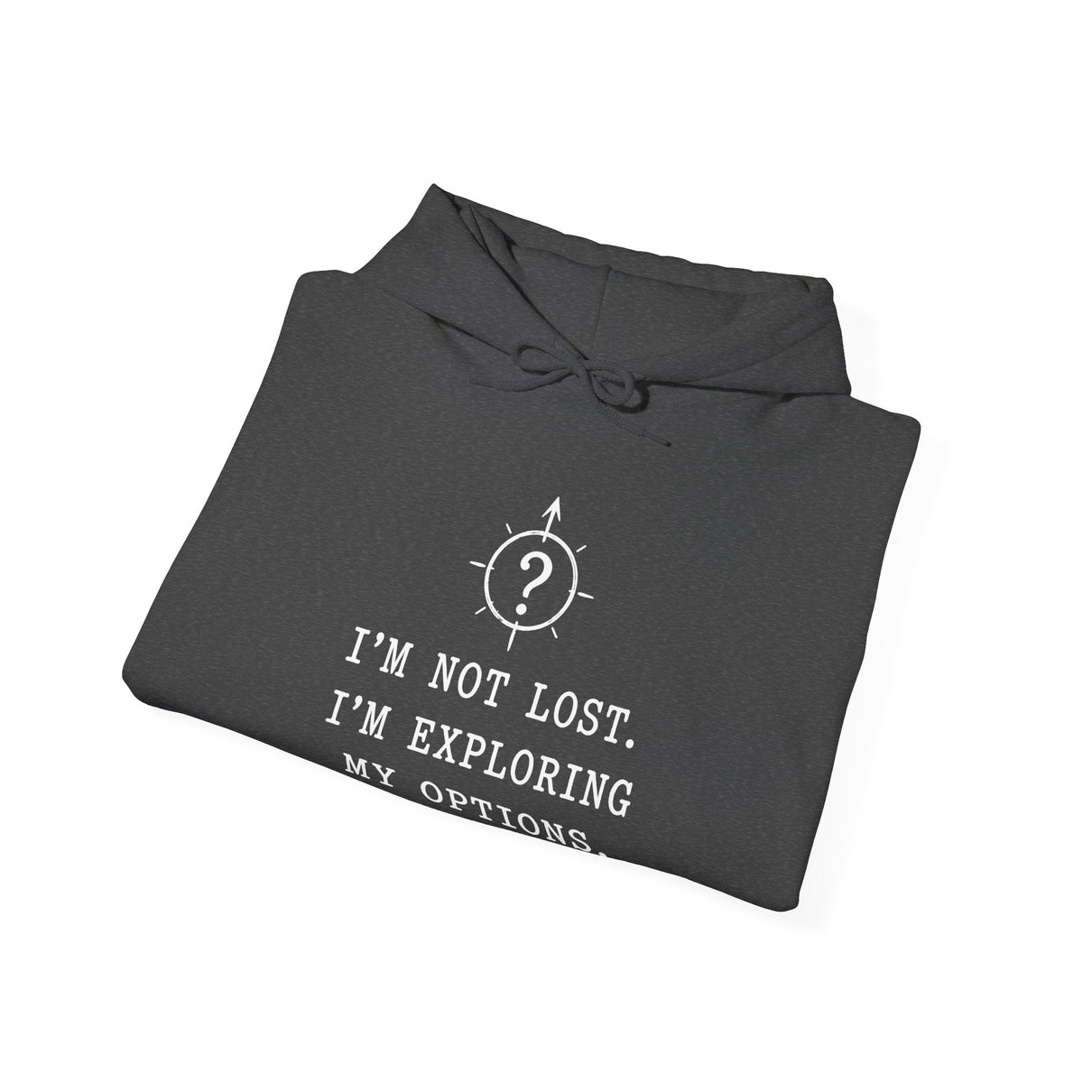 I'm Not Lost. I'm Exploring My Options. Hoodie