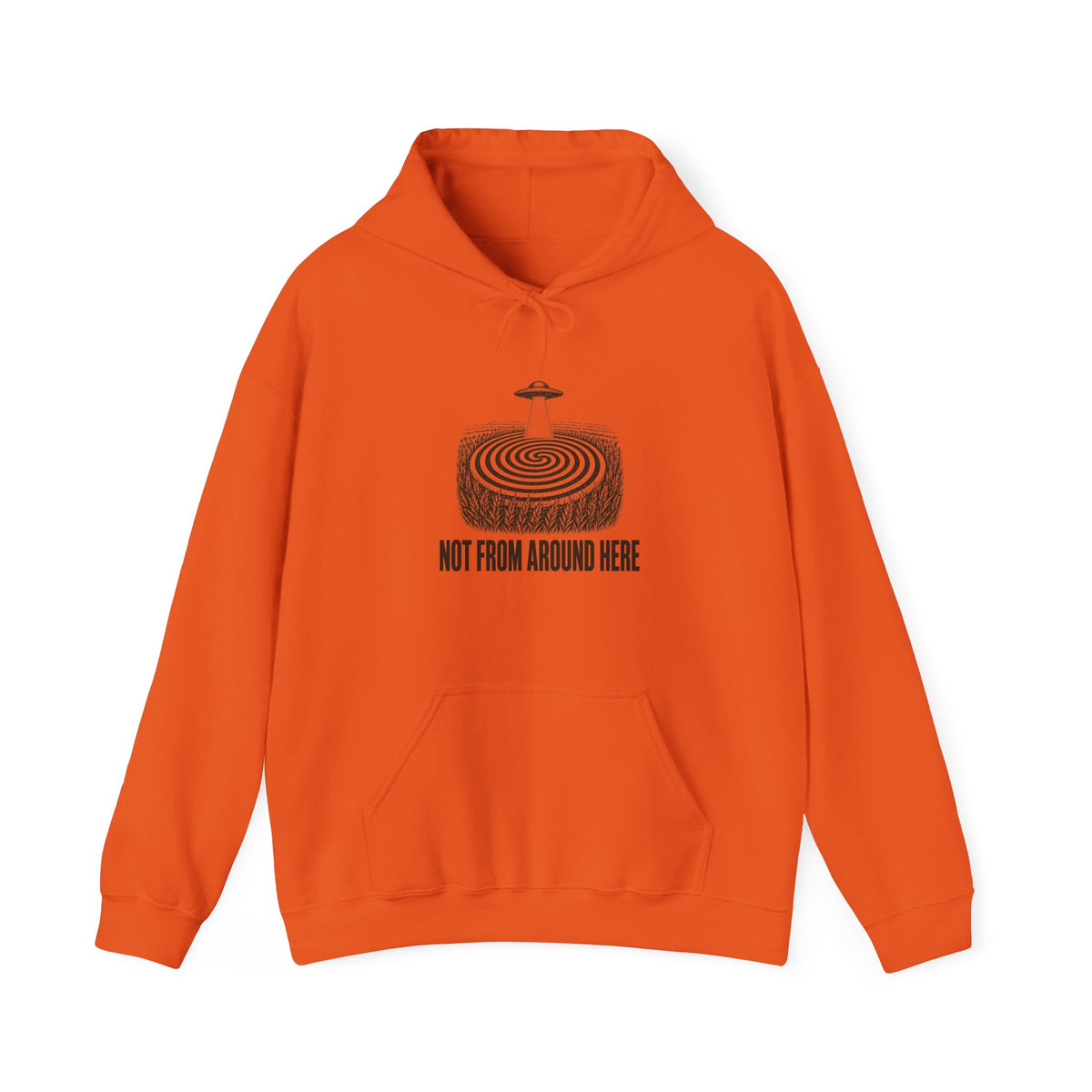 Not From Around Here Hoodie