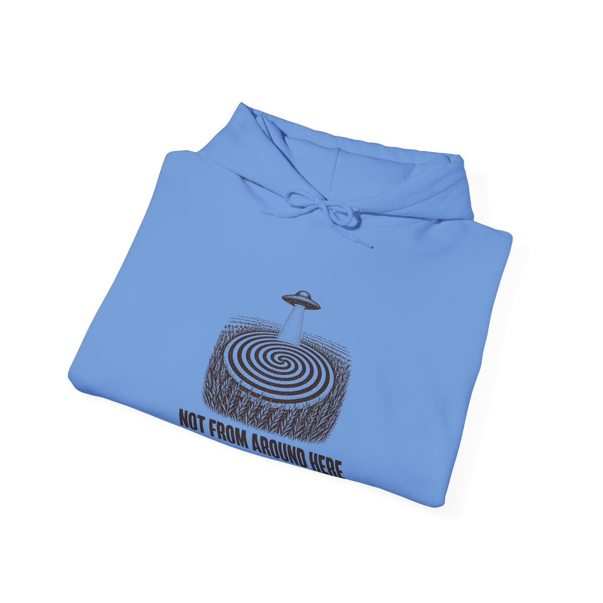 Not From Around Here Hoodie