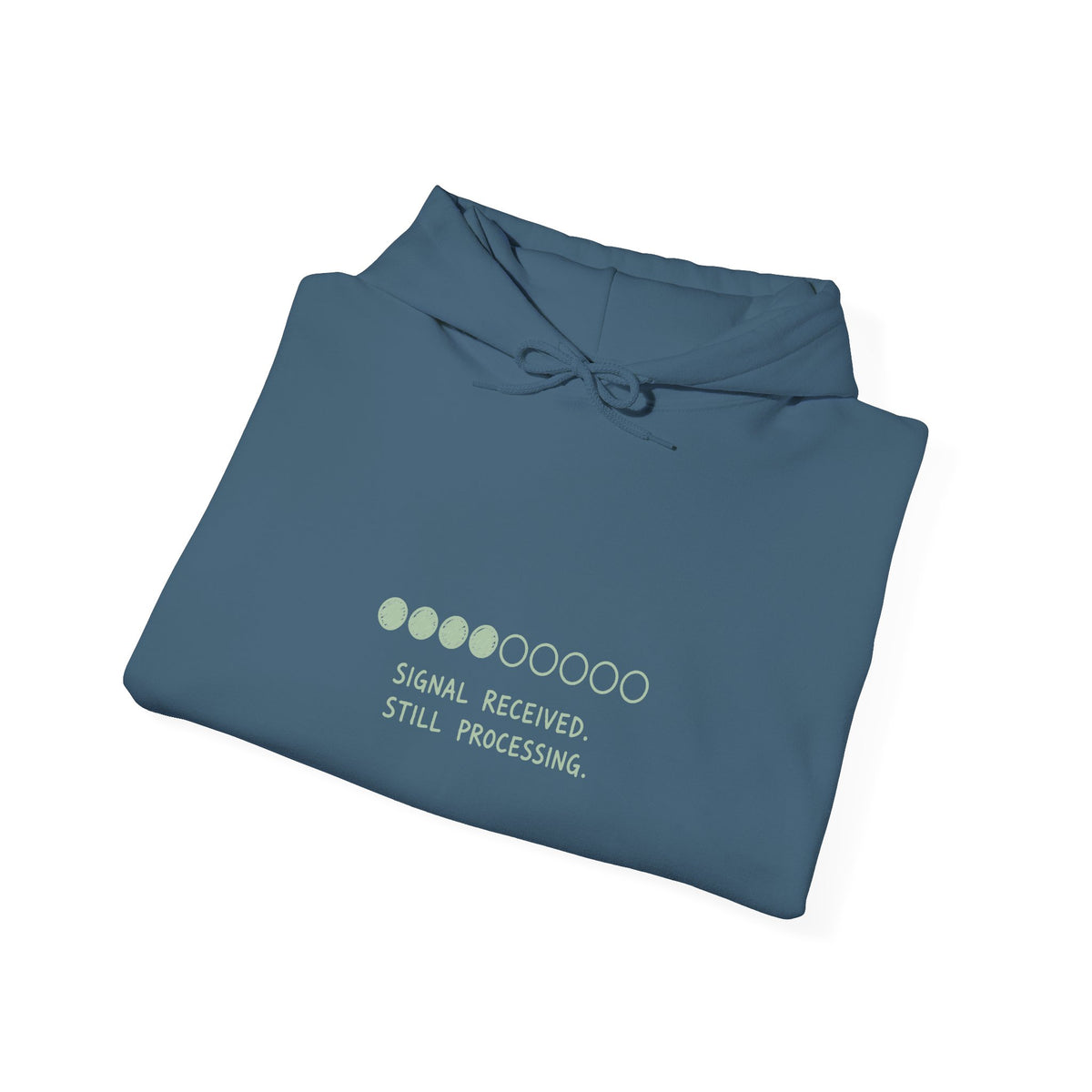 Signal Received Hoodie