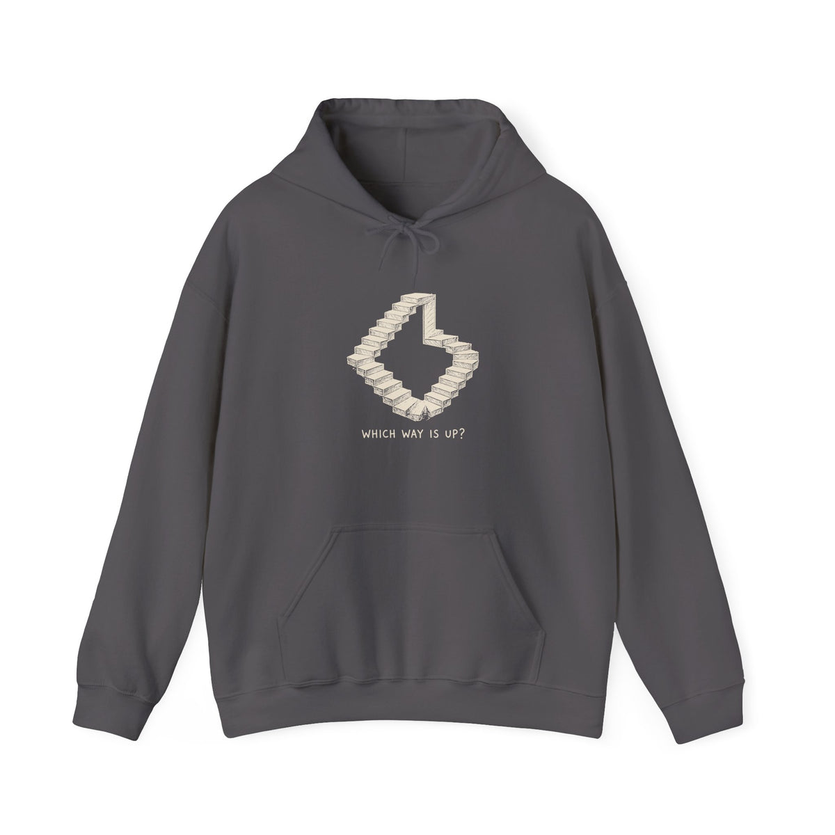 Which Way Is Up? Hoodie