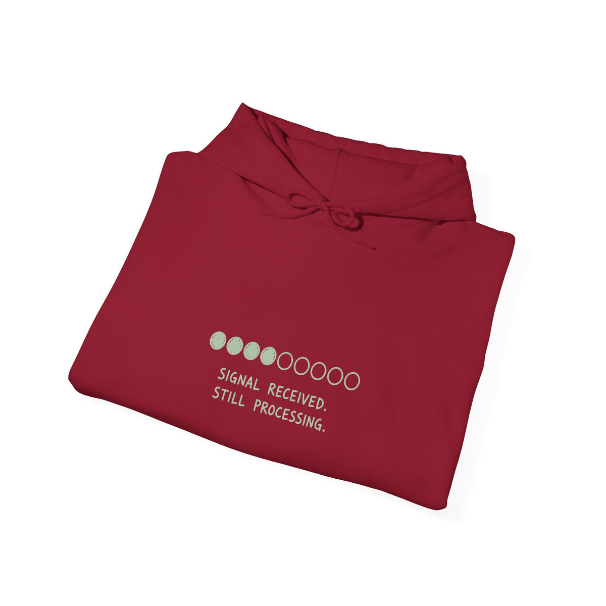 Signal Received Hoodie