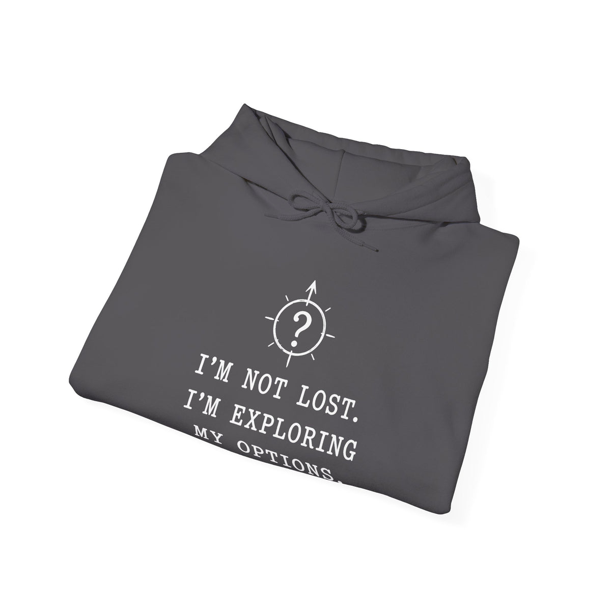 I'm Not Lost. I'm Exploring My Options. Hoodie