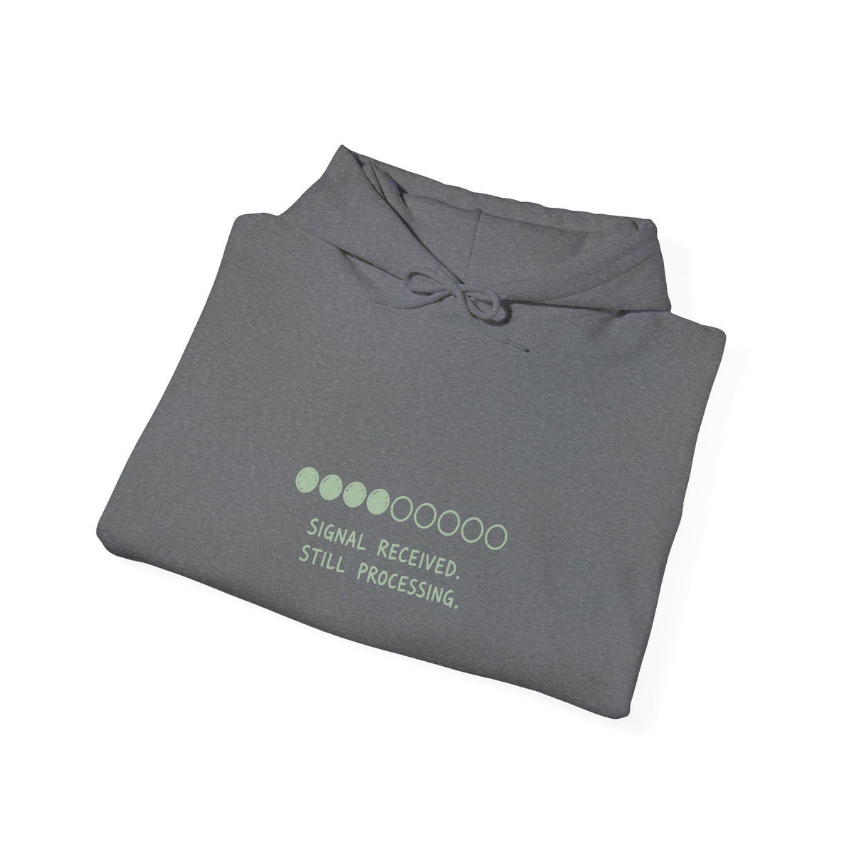 Signal Received Hoodie