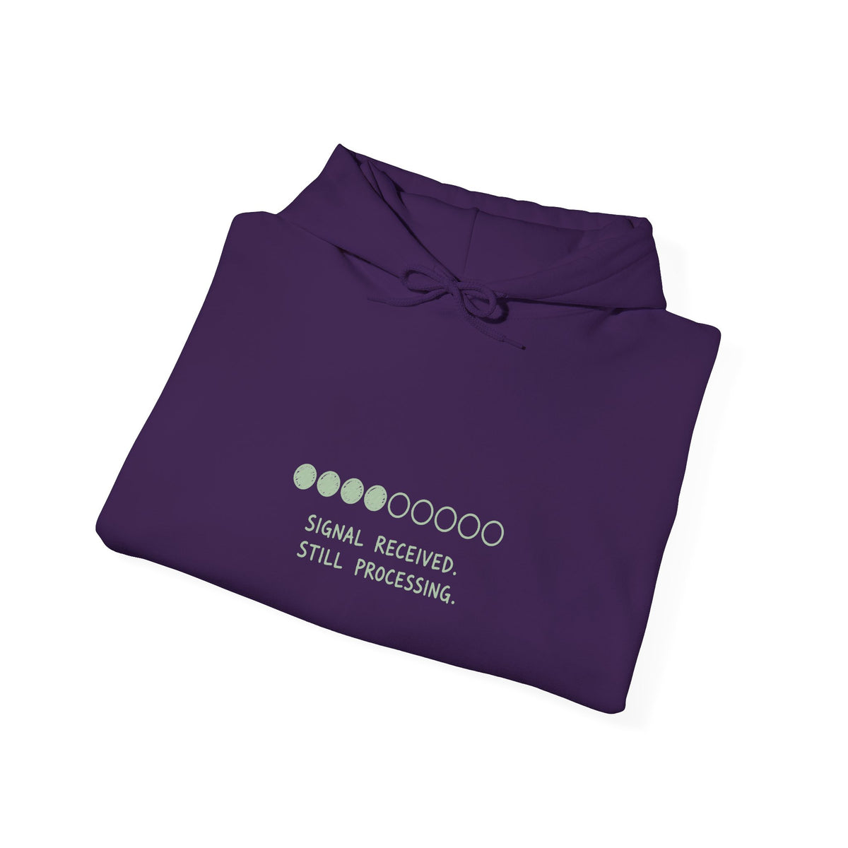 Signal Received Hoodie