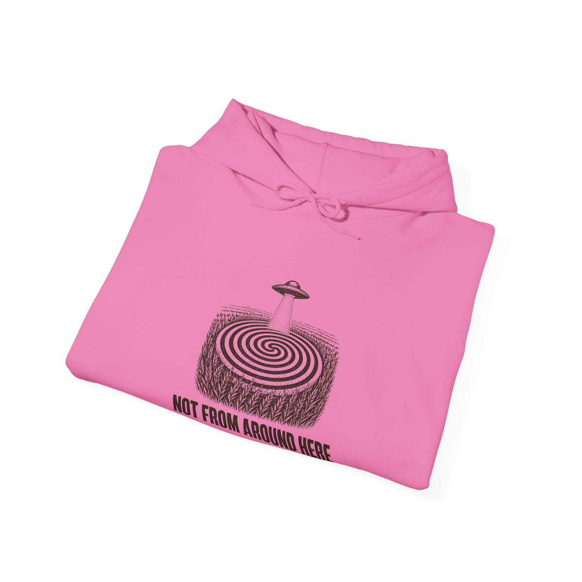 Not From Around Here Hoodie