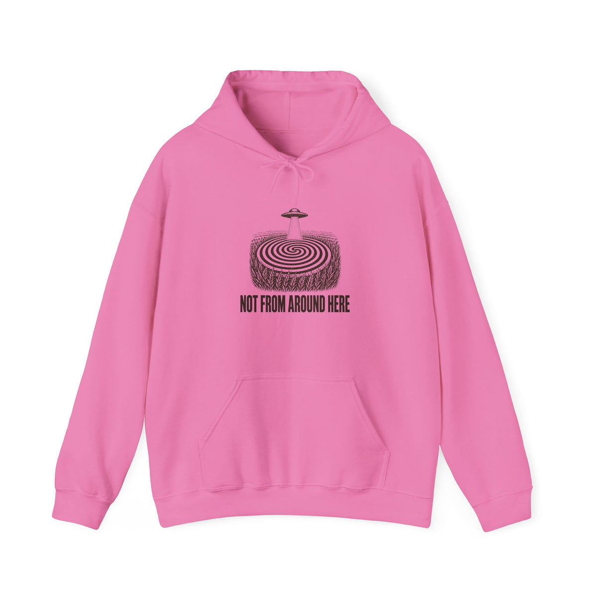 Not From Around Here Hoodie