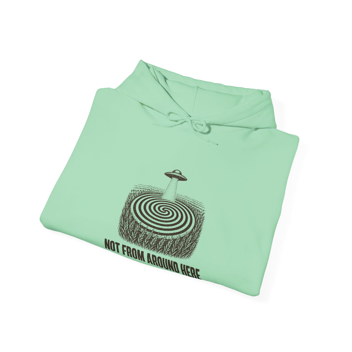 Not From Around Here Hoodie