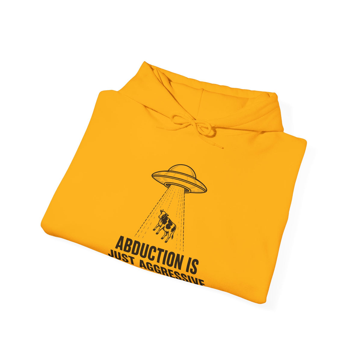 Abduction Is Just Aggressive Networking Hoodie