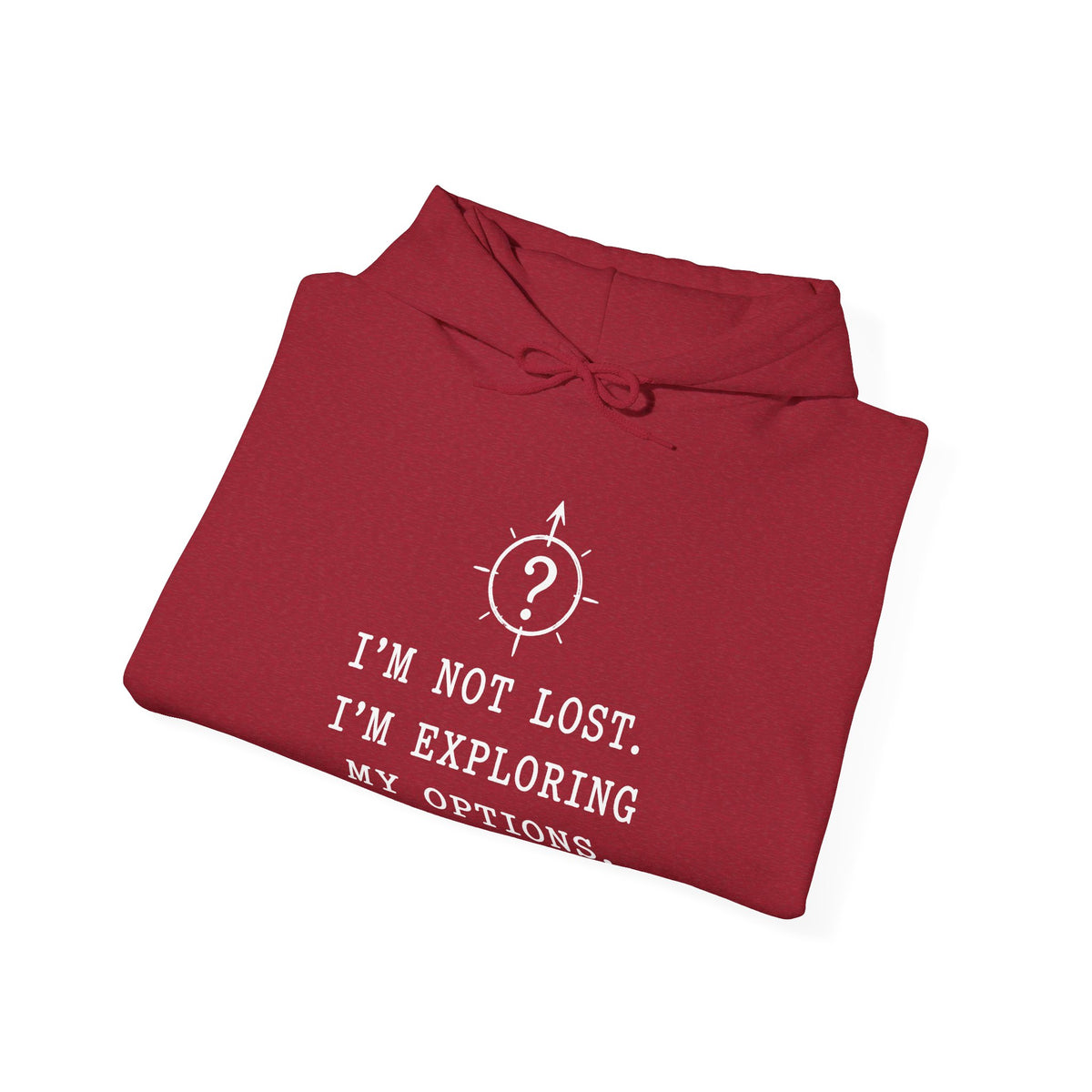 I'm Not Lost. I'm Exploring My Options. Hoodie