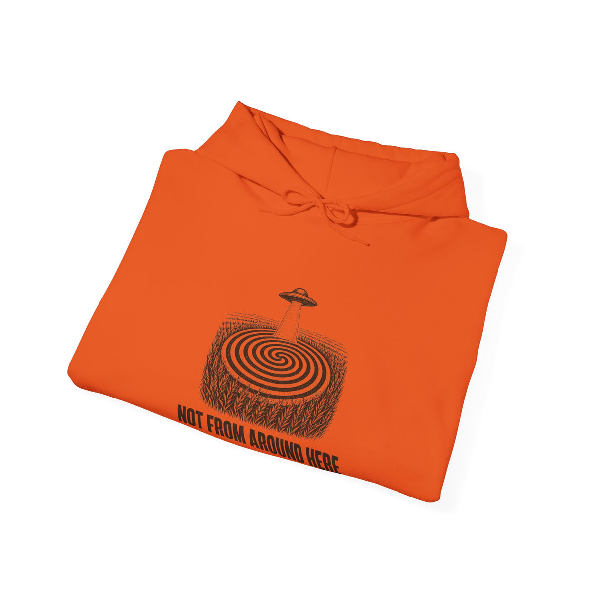 Not From Around Here Hoodie