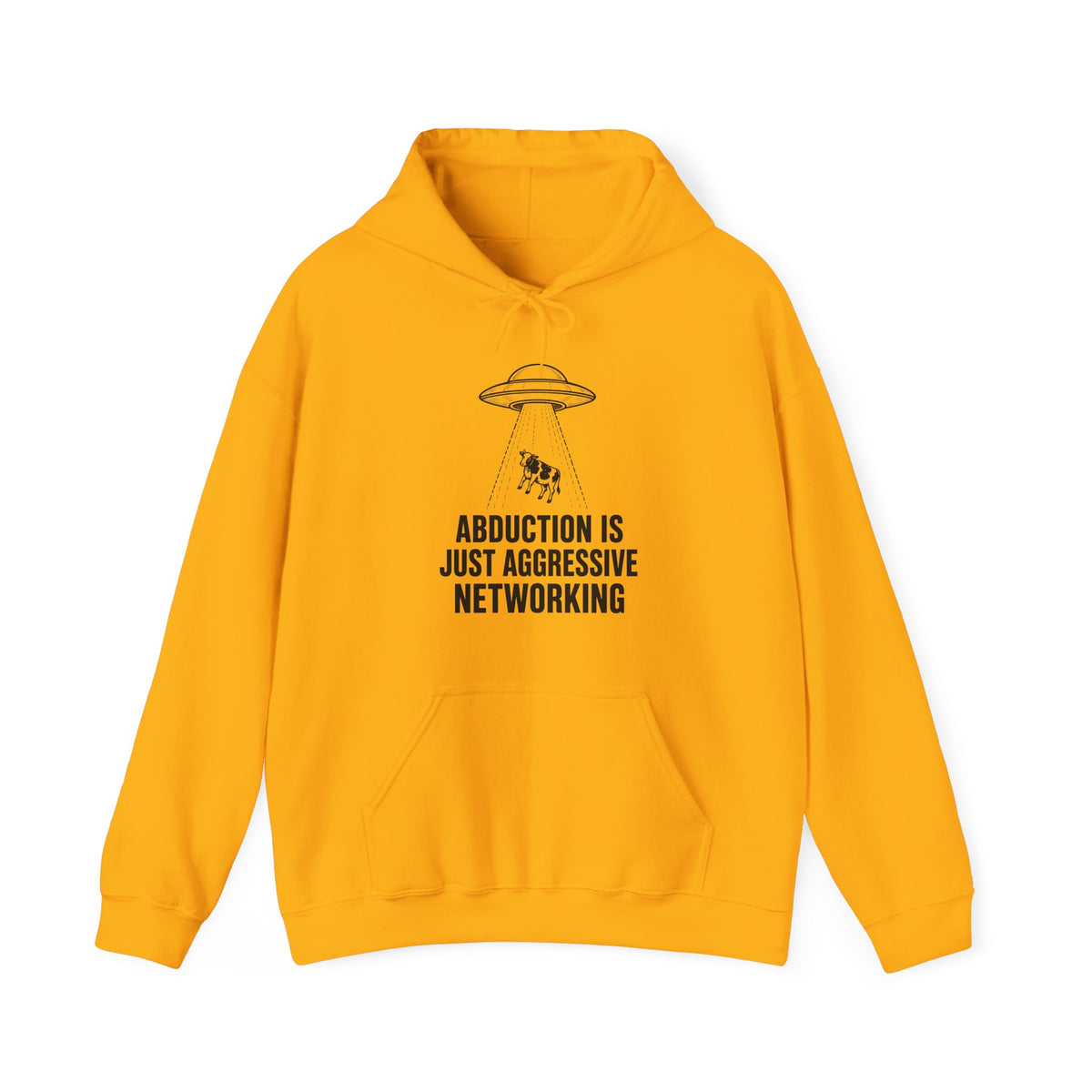 Abduction Is Just Aggressive Networking Hoodie