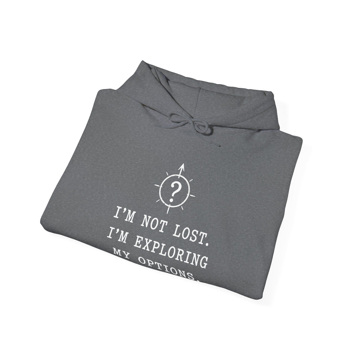 I'm Not Lost. I'm Exploring My Options. Hoodie