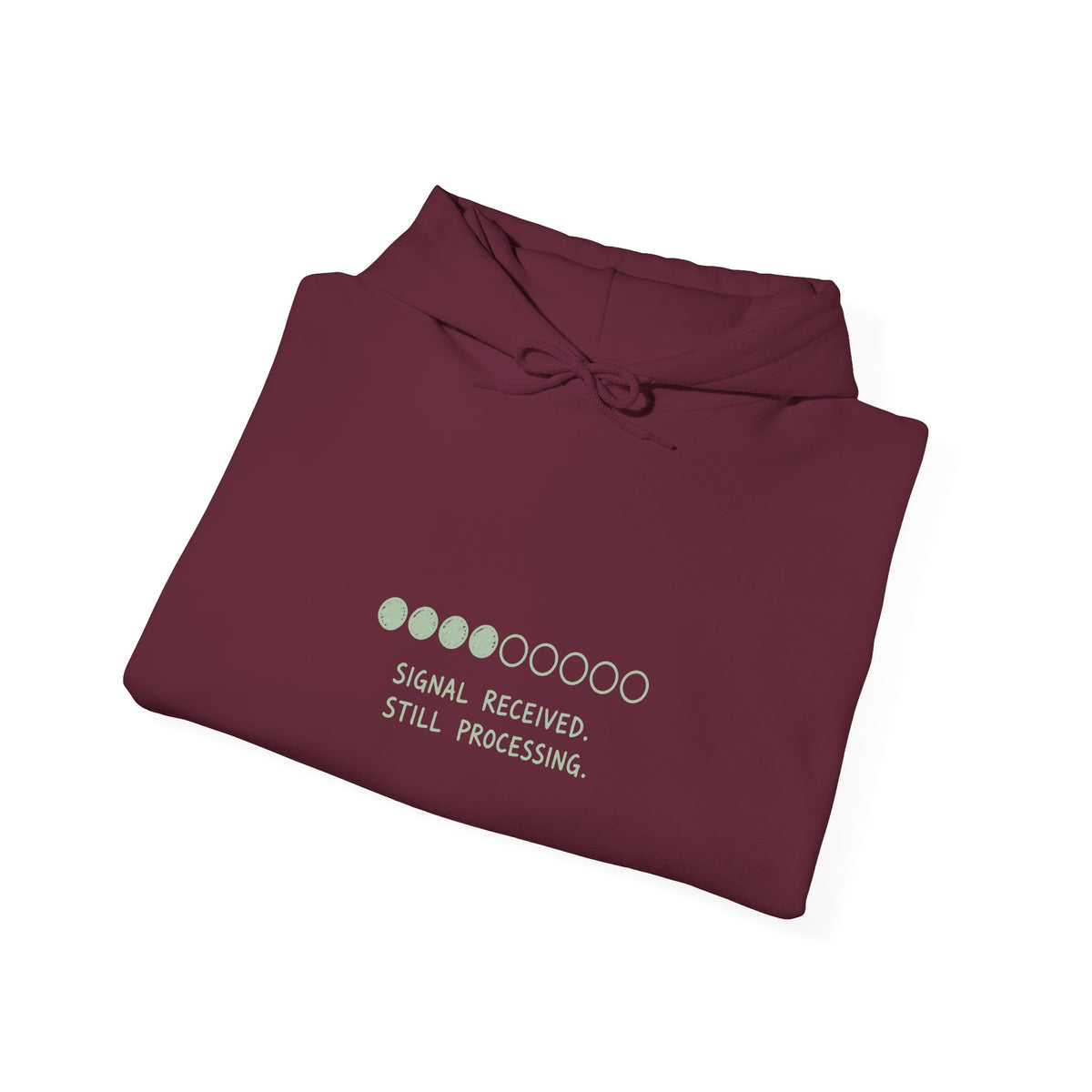 Signal Received Hoodie